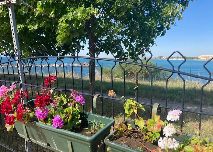 аpartments Comfort -marina Cape דירה